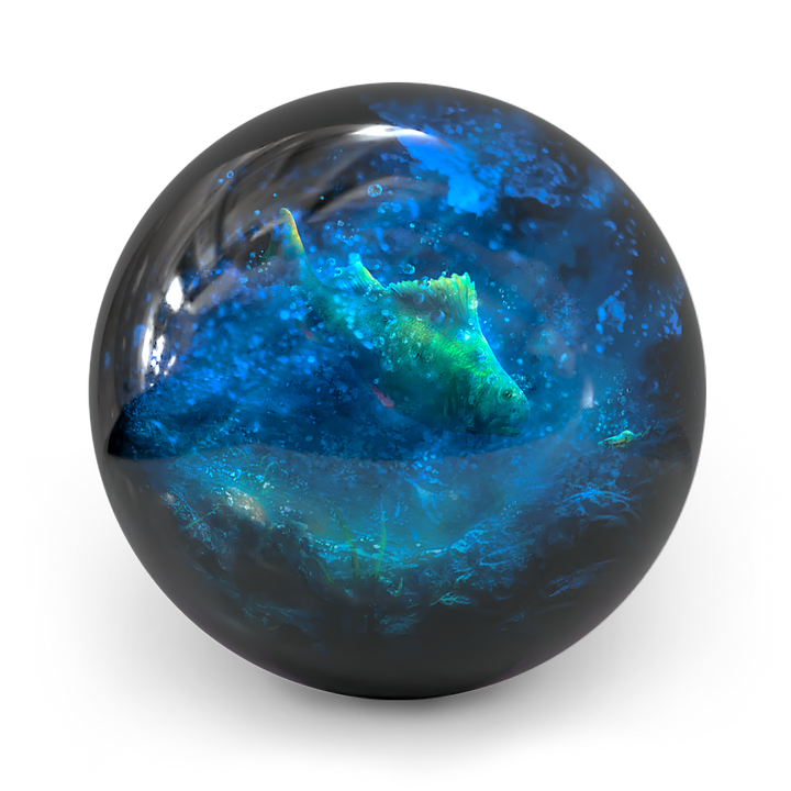 Boll Oceanic Blitz