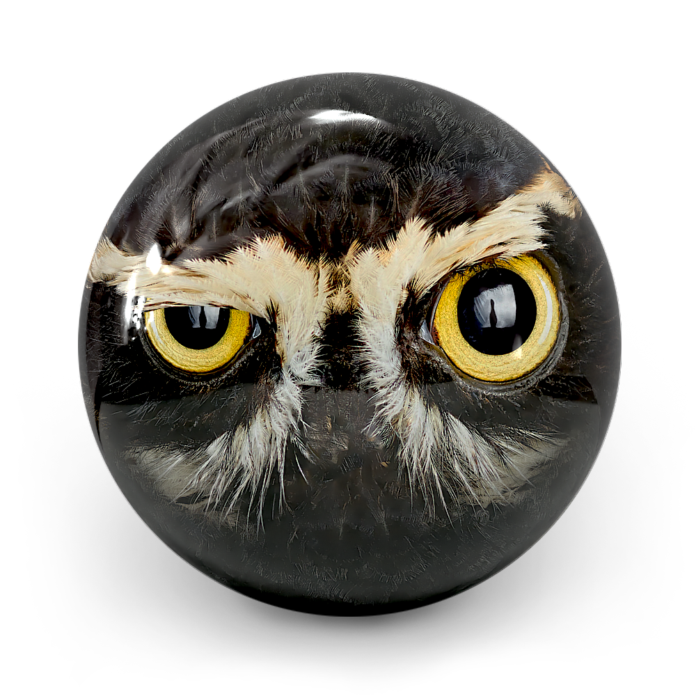 Boll Owl Smash