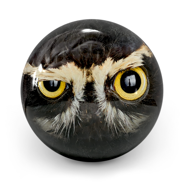 Boll Owl Smash