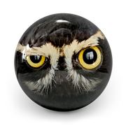 Minge Owl Smash