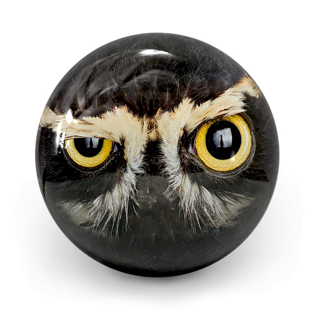 Boule Owl Smash - Bowling Stars