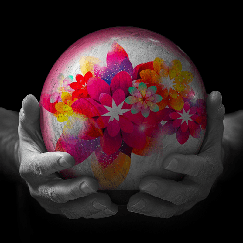 Hands holding a red sphere featuring a floral-patterned figure.